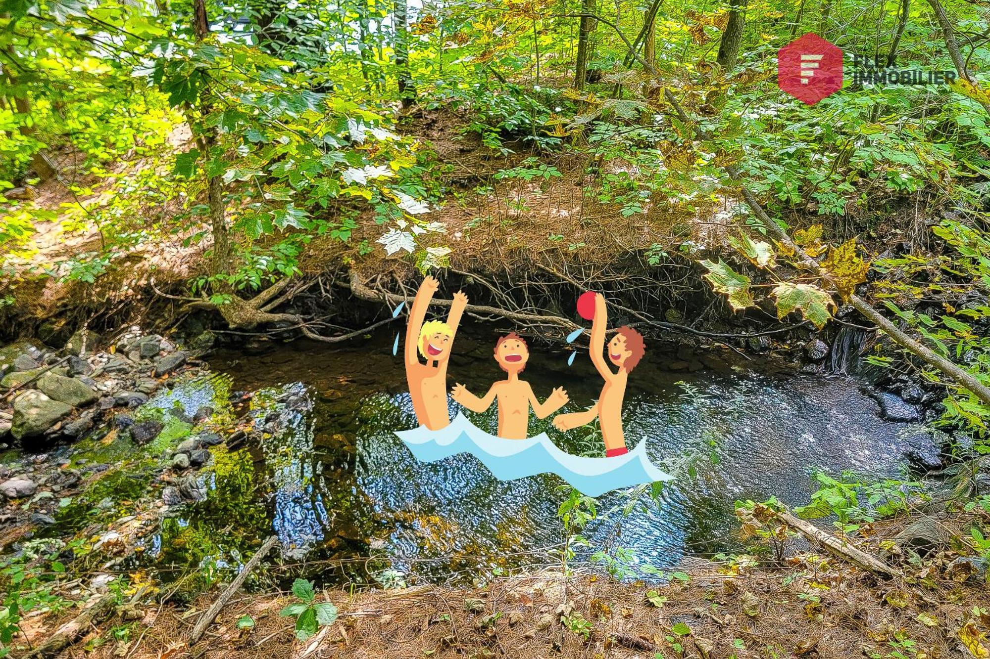 L'Arbre De La Montagne Orford - Ski Hiking Bicking Golf Beaches Magog Luaran gambar
